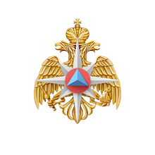 Министерство Российской Федерации по делам гражданской обороны, чрезвычайным ситуациям и ликвидации последствий стихийных бедствий